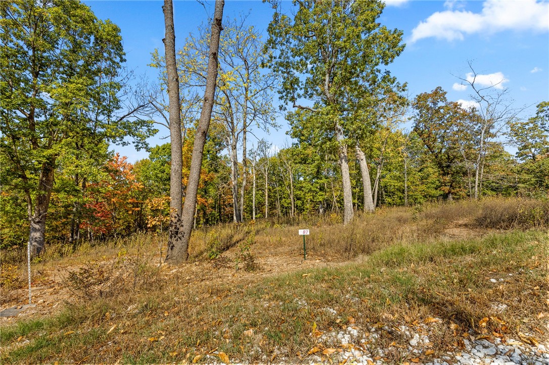 Lot 87 (0.80 m/l ac) on Restore Ridge in Round Mountain Estates, like all lots at RME, is ready to build your dream home on! All utilities are in place. This lot has gorgeous views to the west and beautiful rock and boulder features. RME is a new, master planned, exclusive subdivision located 10 minutes west of Harrison, AR. The following utilities are already on site making the building process much easier for you; natural gas, fiber optic internet, electric, public water, and sewer. Interested in your family seeing the star lights instead of those city lights? RME is what you've been searching for! RME features a 350 +/- acre common area for its residents that includes a stocked fishing pond, Kissing Rock trail, natural springs to explore, Baby Canyon trail, incredible bluff lines to climb, and views for hundreds of miles that will not only take your breath away but will forever be etched in your memory! Neighborhood amenities coming soon.