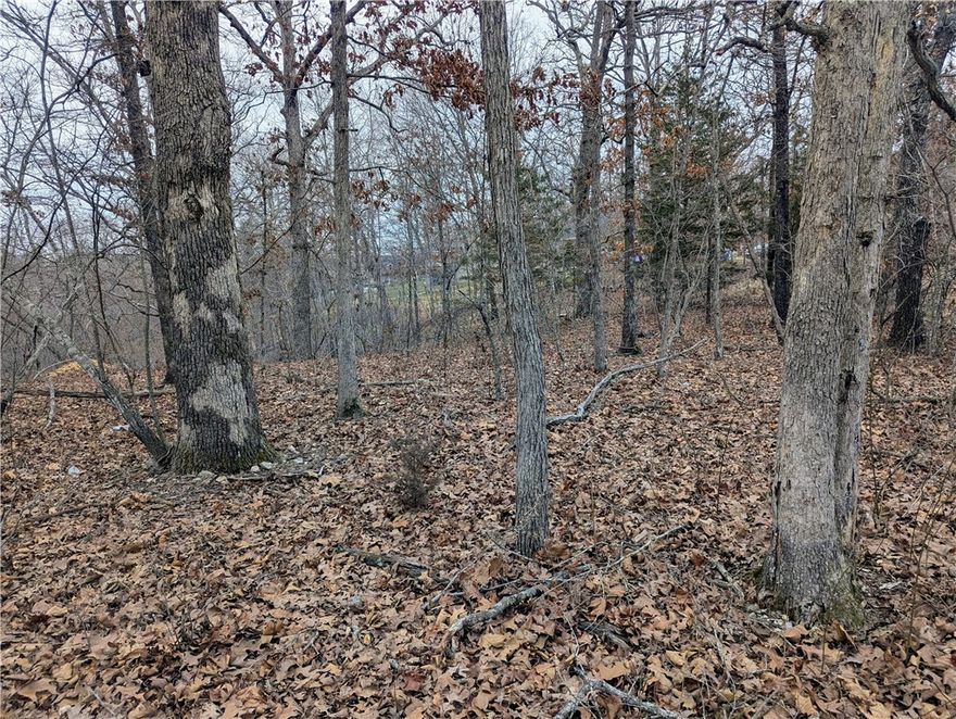 Level Lot! Excellent location! Come check out this beautiful piece of property with wonderful Bella Vista amenities all around. Located between Lake Ann and Lake Brittany. Close to the Pinion Creek Trailhead and Lake Ann Boat launch. Nice level homesite. Common property on two sides. Easy commute, and when you are not working the decision is, do I fish, kayak, mountain bike, hike, golf, swim etc.