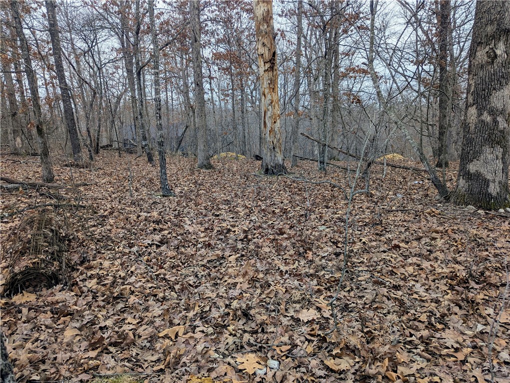 Hampshire Sub Bvv - Land