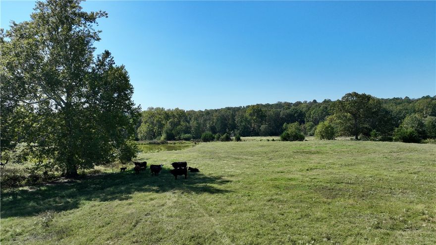 Beautiful 28-acre fenced pastureland featuring rolling terrain, and stunning mountain views. Property offers lush grass for grazing or hay, a small pond, and partial wooded areas providing shade and privacy. Fully fenced and ready for livestock or farm use. Multiple ideal building sites with panoramic views. Convenient access to nearby towns while maintaining a peaceful rural setting. Perfect for a mini-farm, cattle operation, or dream home site. Scenic setting, excellent location, and move-in ready for agricultural or residential use.