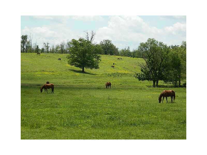 80 acres with good fencing and cross fencing. Beautiful building spots with ponds and spring . Deed restriction against poultry houses.