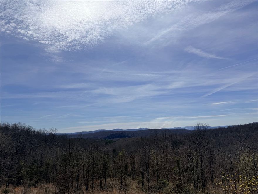 This 40-acre wooded property near Woolum offers a rare opportunity to build a secluded dream home in the heart of the Ozarks. Its prime location in St Joe features one corner bordering the National Park Service land, providing direct access to the wilderness surrounding the Buffalo National River. The terrain is heavily timbered, as the sellers state it hasn’t been logged in 25 years, and it holds the potential for expansive mountain views with some selective tree clearing. While electric and rural water are available at the county road, buyers should verify service connections with local providers during their due diligence. Situated just a short distance from the popular Baker Ford and Woolum accesses at Buffalo River, this tract is an ideal retreat for anyone seeking privacy paired with world-class kayaking, hiking, and hunting right out their back door.