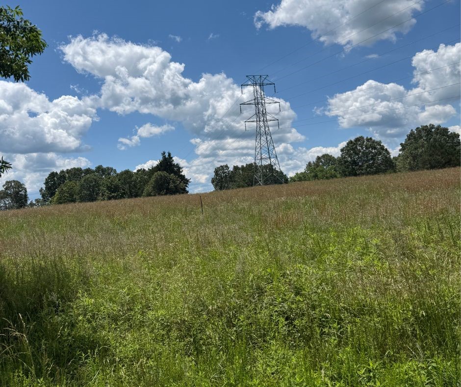 Malidia on the River - Land