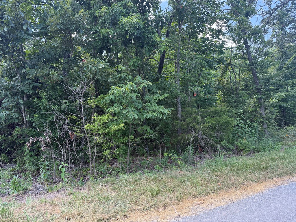 Beautiful lot in desirable Bella Vista area. Come and see amazing trees, rec golf, community pool indoor and outdoor , nature trails walking & biking, and private lakes.