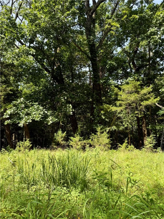 Here is your blank canvas to create your lake area living dream! The lot spans from Pine to Black Oak giving you flexibility in design. All utilities are at the street. Join the quiet community of Lost Bridge Village and enjoy amenities such as an airstrip, pool, pickle ball courts, and more. Two boat ramps are within a few miles for easy Beaver Lake access and Rogers is an easy 30 minute drive. Lot 39 and 40 are to be sold together, and this gives you space for privacy! Acreage based on county data, not a survey.