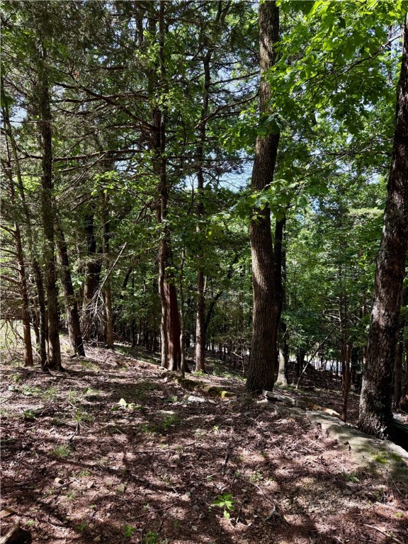 Moulder Hollow Sec Iii Rurban - Land