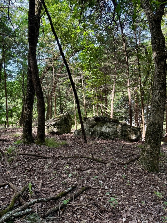 Here is your blank canvas to create your lake area living dream! The lot spans from Pine to Black Oak giving you flexibility in design. All utilities are at the street. Join the quiet community of Lost Bridge Village and enjoy amenities such as an airstrip, pool, pickle ball courts, and more. Two boat ramps are within a few miles for easy Beaver Lake access and Rogers is an easy 30 minute drive. Lot 39 and 40 are to be sold together, and this gives you space for privacy! Acreage based on county data, not a survey.