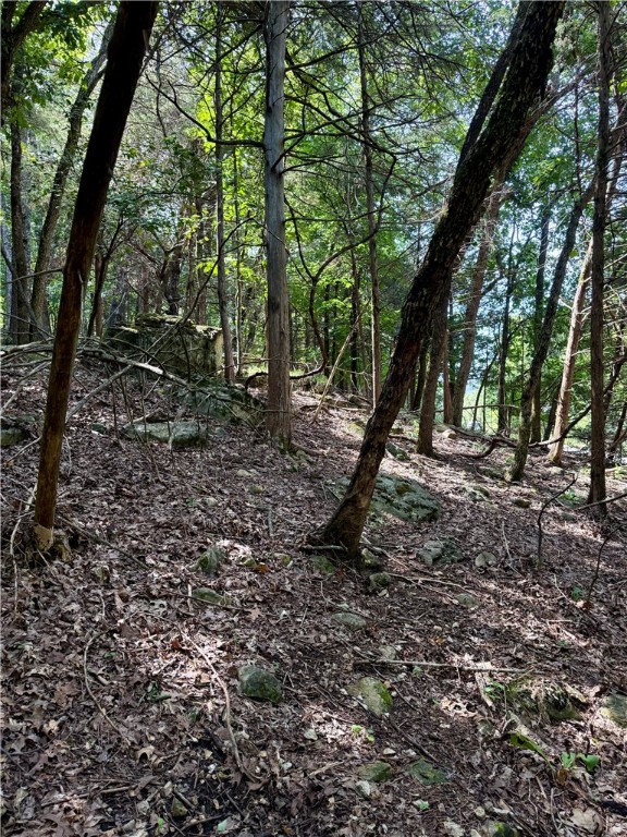 Moulder Hollow Sec Iii Rurban - Land