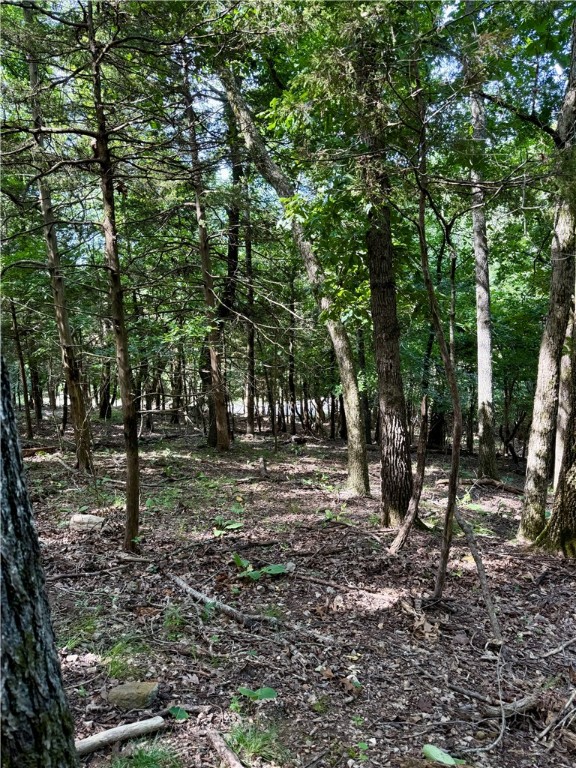 Moulder Hollow Sec Iii Rurban - Land