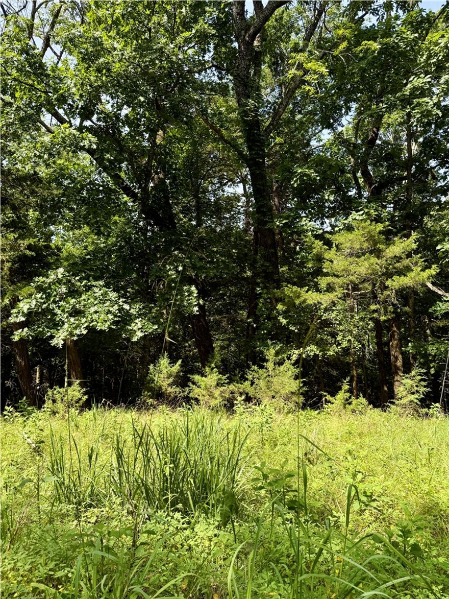Create your lake area living dream in Lost Bridge Village! This wooded lot extends from Pine Dr. to Black Oak Dr., providing opportunities for creative design and use of space. Electric, water, and sewer are at the street. Join the quiet community of Lost Bridge Village and enjoy amenities such as an airstrip, pool, pickle ball courts, and more. Two boat ramps are within a few miles for access to Beaver Lake and Rogers is an easy 30 minute drive. Lot 39 and 40 are to be sold together, and this gives you additional space for privacy! Acreage based on county data, not a survey.