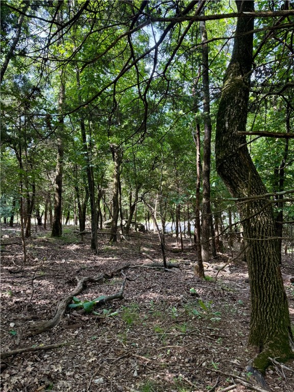 Moulder Hollow Sec Iii Rurban - Land