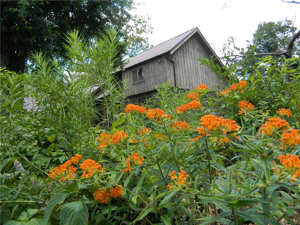 Rural - Residential
