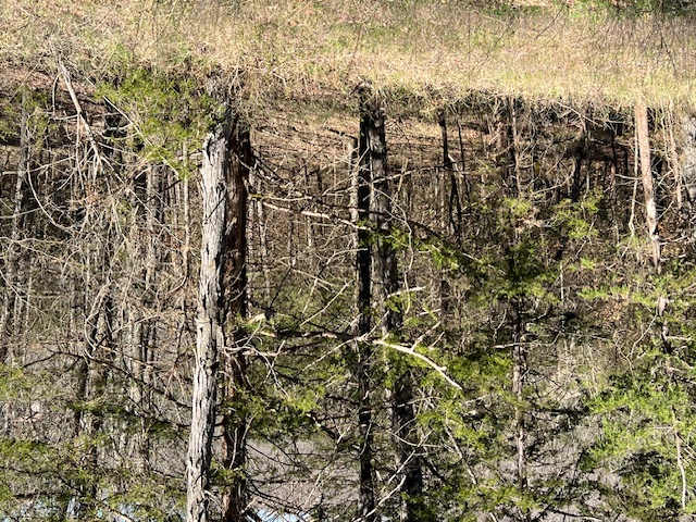 Unit 7 Holiday Island - Land