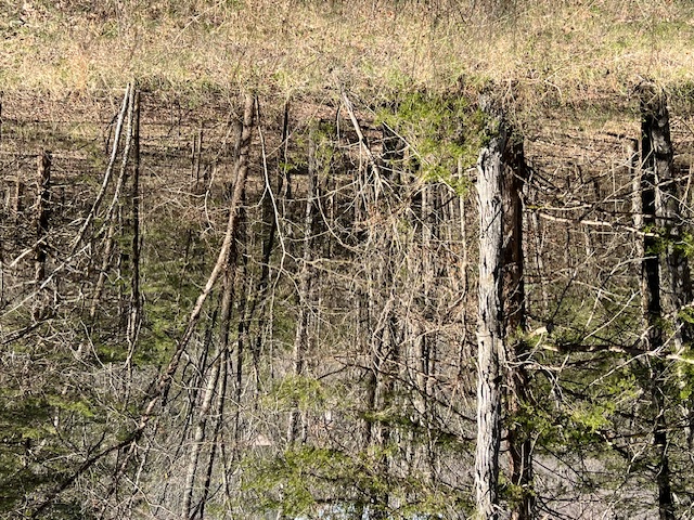 Unit 7 Holiday Island - Land