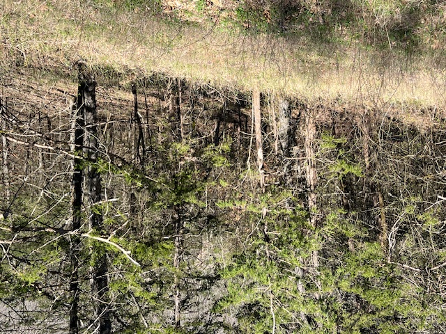 Unit 7 Holiday Island - Land