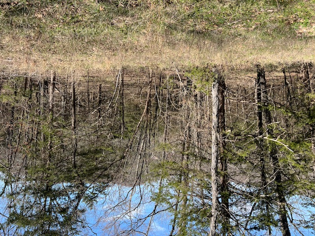 Unit 7 Holiday Island - Land