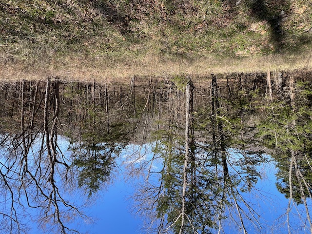 Unit 7 Holiday Island - Land