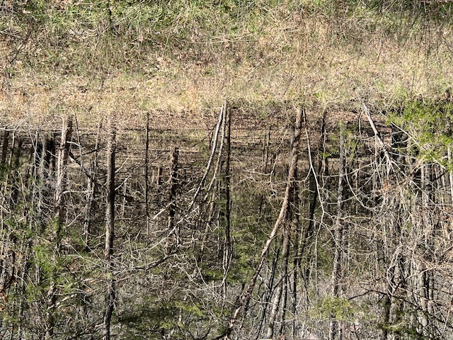 Unit 7 Holiday Island - Land