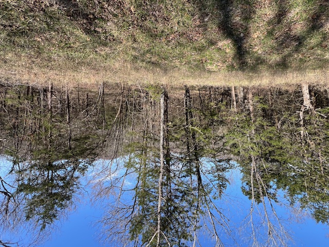 Unit 7 Holiday Island - Land