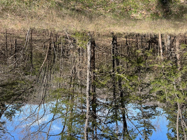 Unit 7 Holiday Island - Land