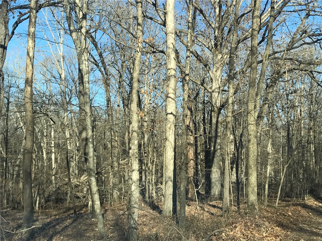 Ozark Estates 3rd Rurban - Land