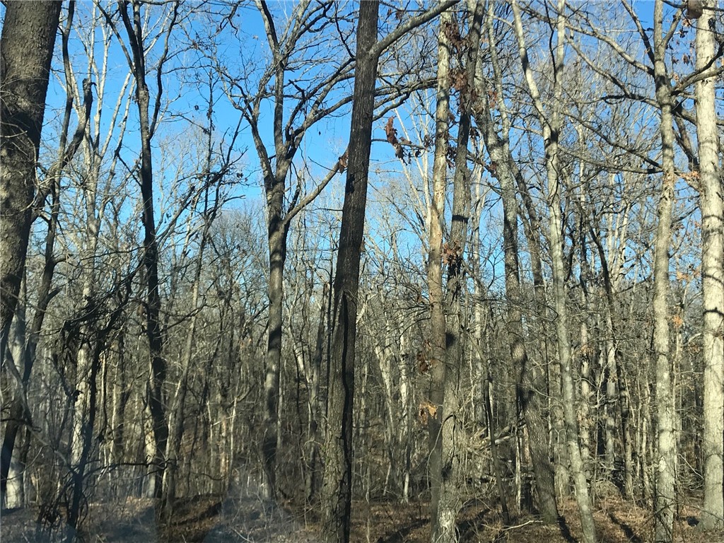 Ozark Estates 3rd Rurban - Land