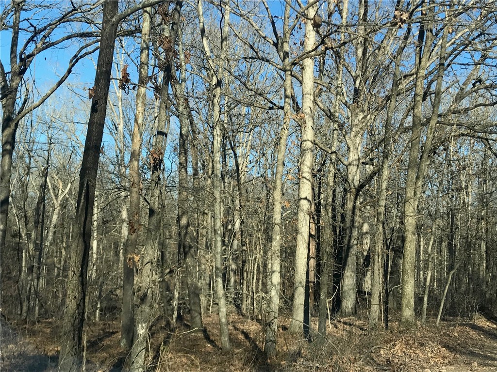 Ozark Estates 3rd Rurban - Land