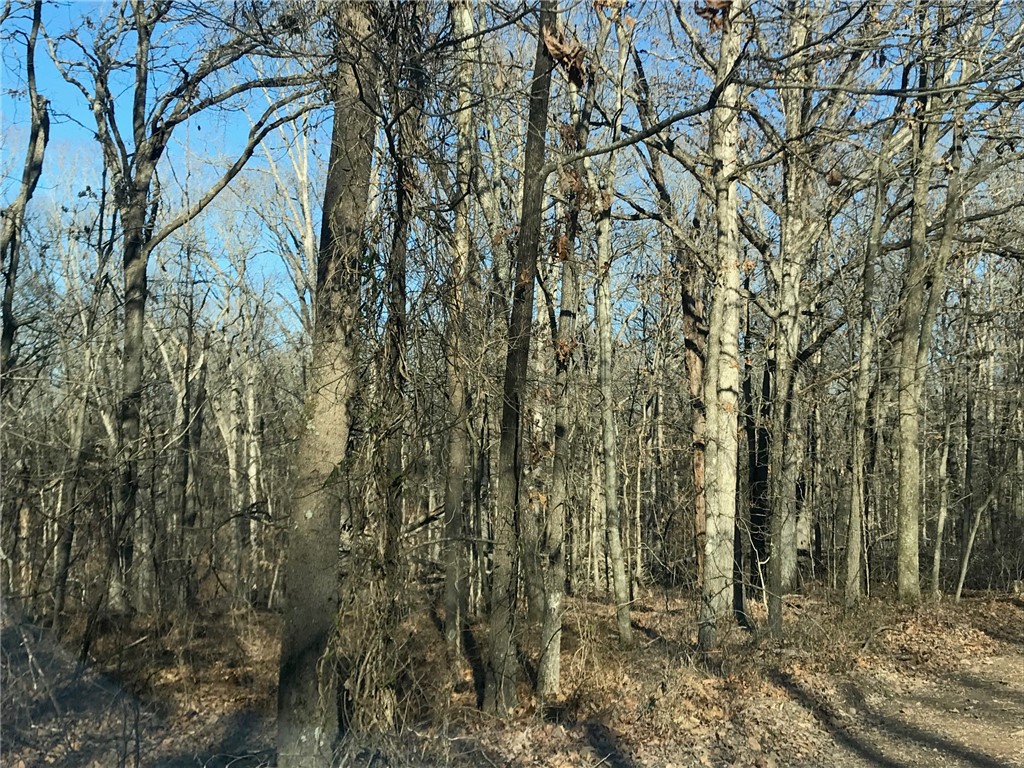 Ozark Estates 3rd Rurban - Land