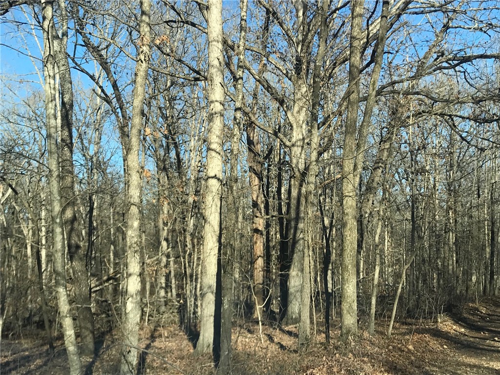 Ozark Estates 3rd Rurban - Land