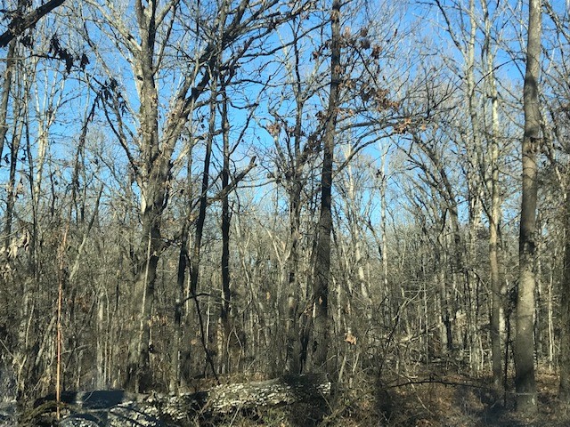 Ozark Estates 3rd Rurban - Land