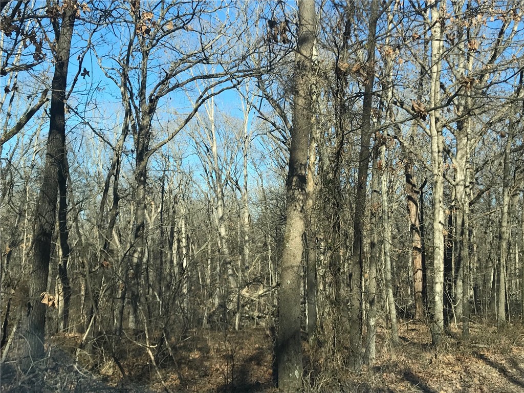 Ozark Estates 3rd Rurban - Land