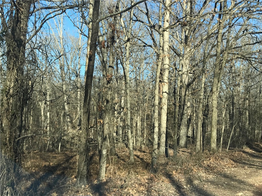Ozark Estates 3rd Rurban - Land