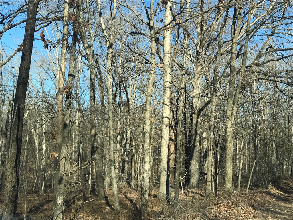 Ozark Estates 3rd Rurban - Land