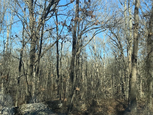 Ozark Estates 3rd Rurban - Land