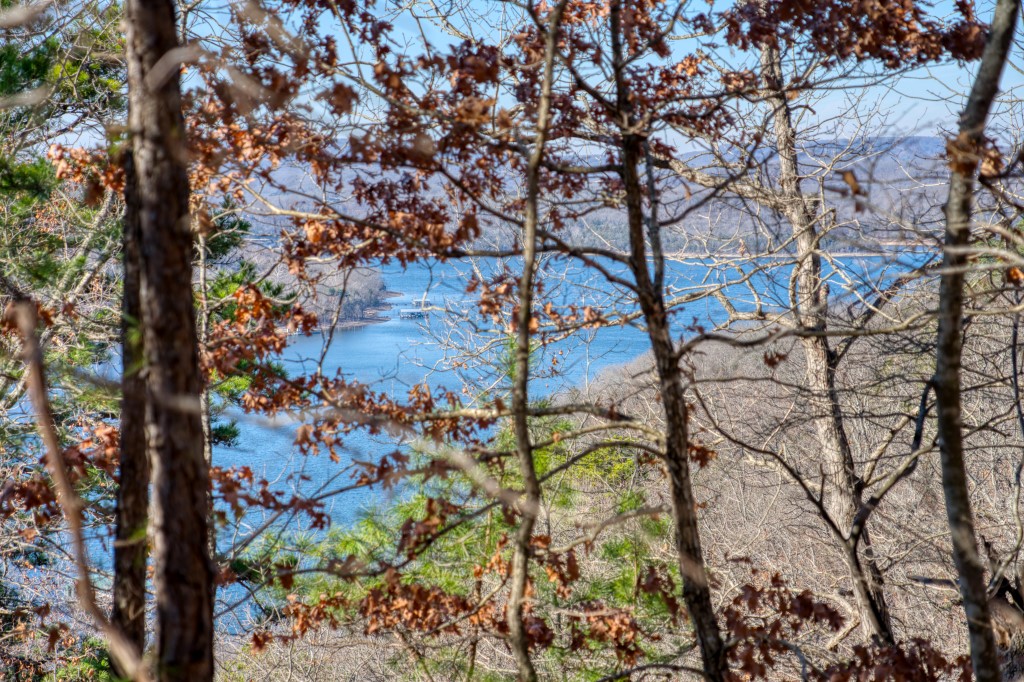 Large lot set just a few feet from paved road access. Excellent view potential from this lot and an easy drive to Starkey Marina, Beaver Dam, or the White River. Community water so no need to drill a well!