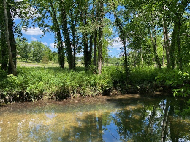 This rare 1.87-acre residential lot will provide a great place to build your dream home with a fabulous view overlooking the recently renovated Scotsdale 18-hole Golf Course. Located near lakes and mountain biking trails, you will appreciate this desirable location and all it has to offer. Come take a look and make it your own!