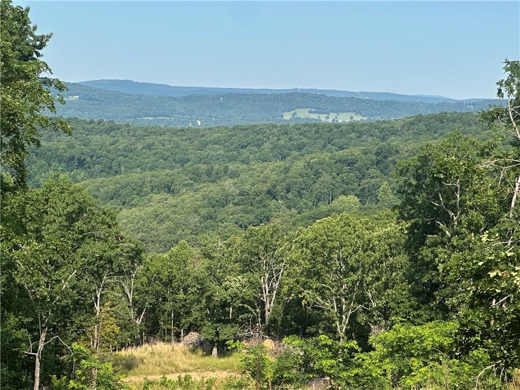 Do you love beautiful views from your back porch? Do you like to hunt, hike, ride UTV trails, search for arrowheads, put in a zipline, or have a shooting range to 300yds maybe? Would you like to buy a property that is priced well within the market price for a property of this caliber? This property has so many options, and has a view from the top that is exceptional. The hunting is diverse with deer, turkey, bear, and small game. Some trails are already in place with some areas cleared for cabin sites. The potential of the property is endless. The property is 12 minutes to Elkins High School, and approximately 30 minutes from Fayetteville. Please come see this property to answer the question: "Is this the right one"? Call agent to set up showing.