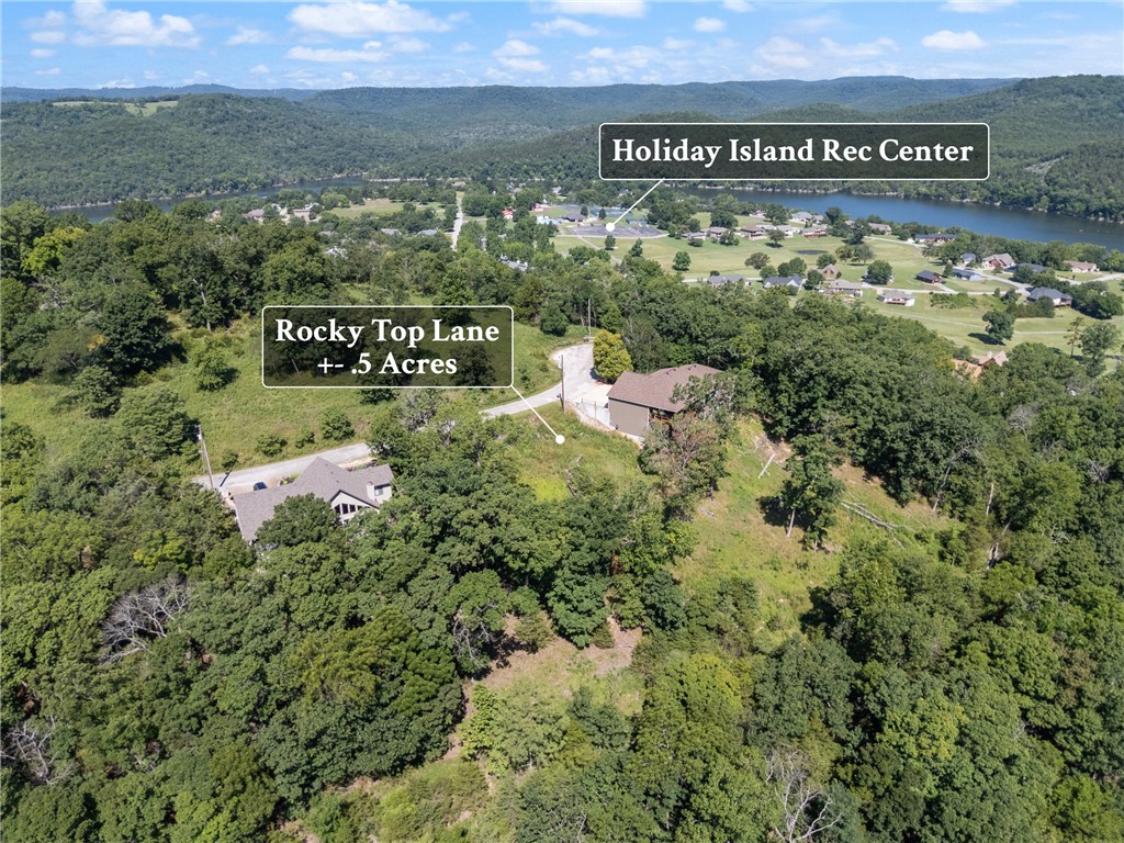 Gorgeous partially cleared lot with incredible lake view! Build your dream home and enjoy the amenities and beauty Holida Island has to offer! Clubhouse with 18 and 9 hole course, swimming pools and rec center, pickle ball and tennis, hiking and walking trails, and more!