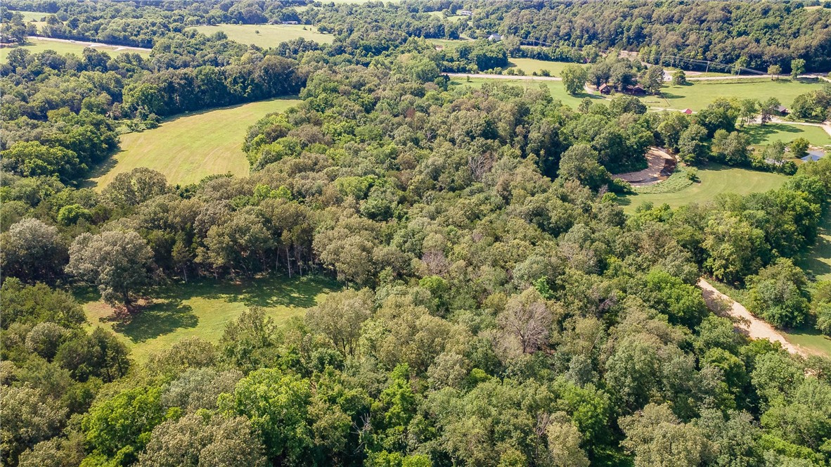 Bearing Fruit Farms - Land