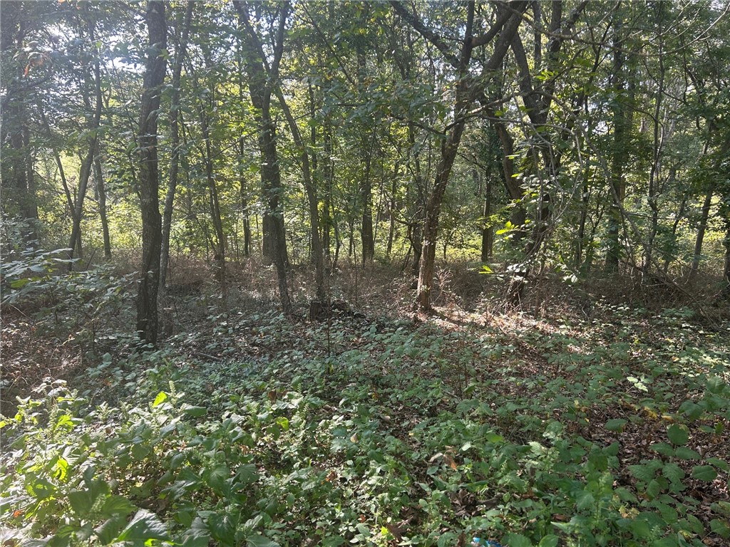 rural - Residential