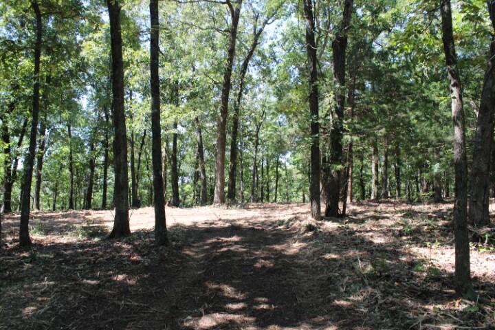 Wooded Privacy Only 12 Miles Out with Semi-Open Area for Your Homesite, paved highway frontage with no one in sight, nice views, enjoy plenty of wildlife and privacy only 12 miles from Harrison. Electric and Bergman water runs along hwy frontage, buyer should confirm availability and cost to access utilities. Current driveway access approximately 0.1 mile before you get to property, the driveway runs alongside Hwy 7 frontage to property, seller will provide deeded easement at closing. Aerial sketch and preliminary survey in Documents, survey will be completed before closing.
