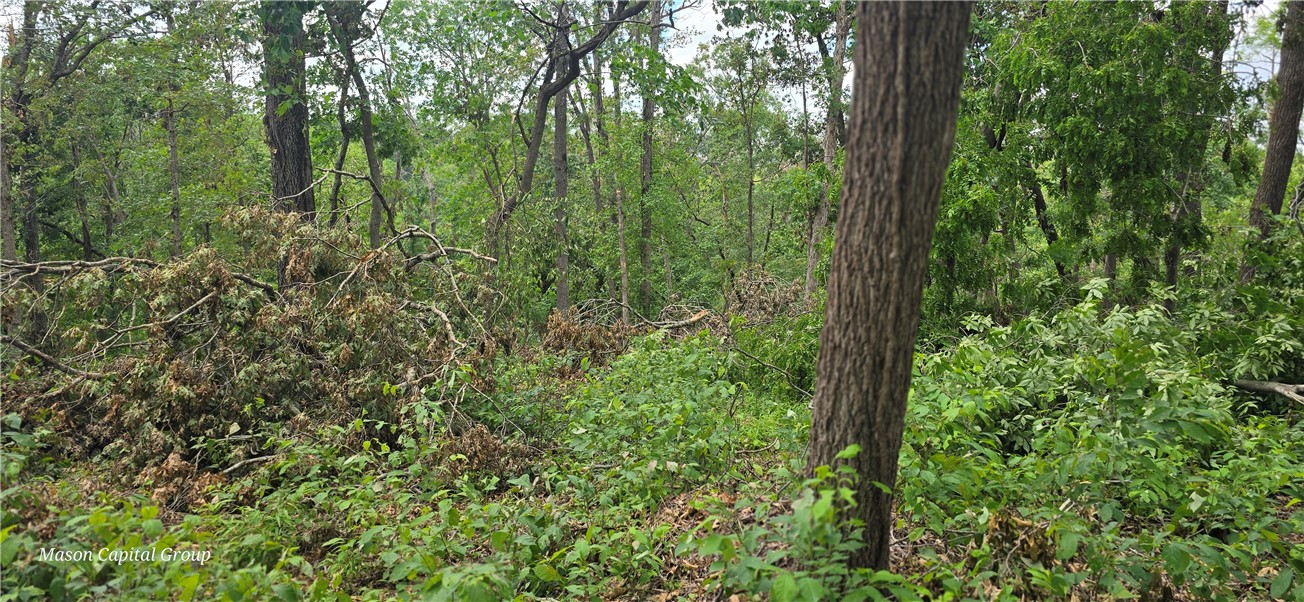 Morrison Heights Bentonville - Commercial Sale