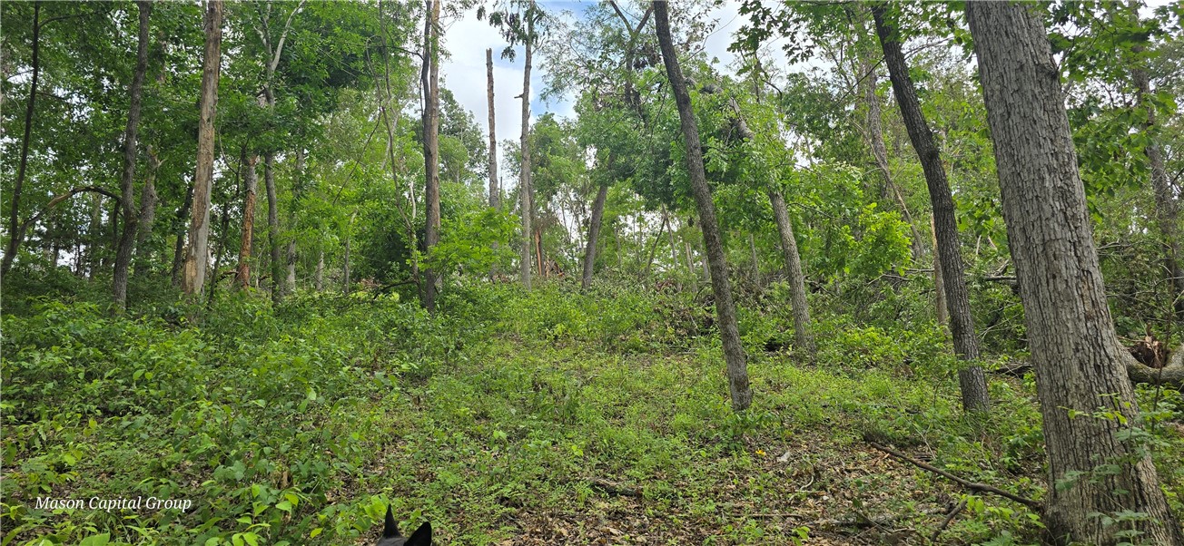 Morrison Heights Bentonville - Commercial Sale