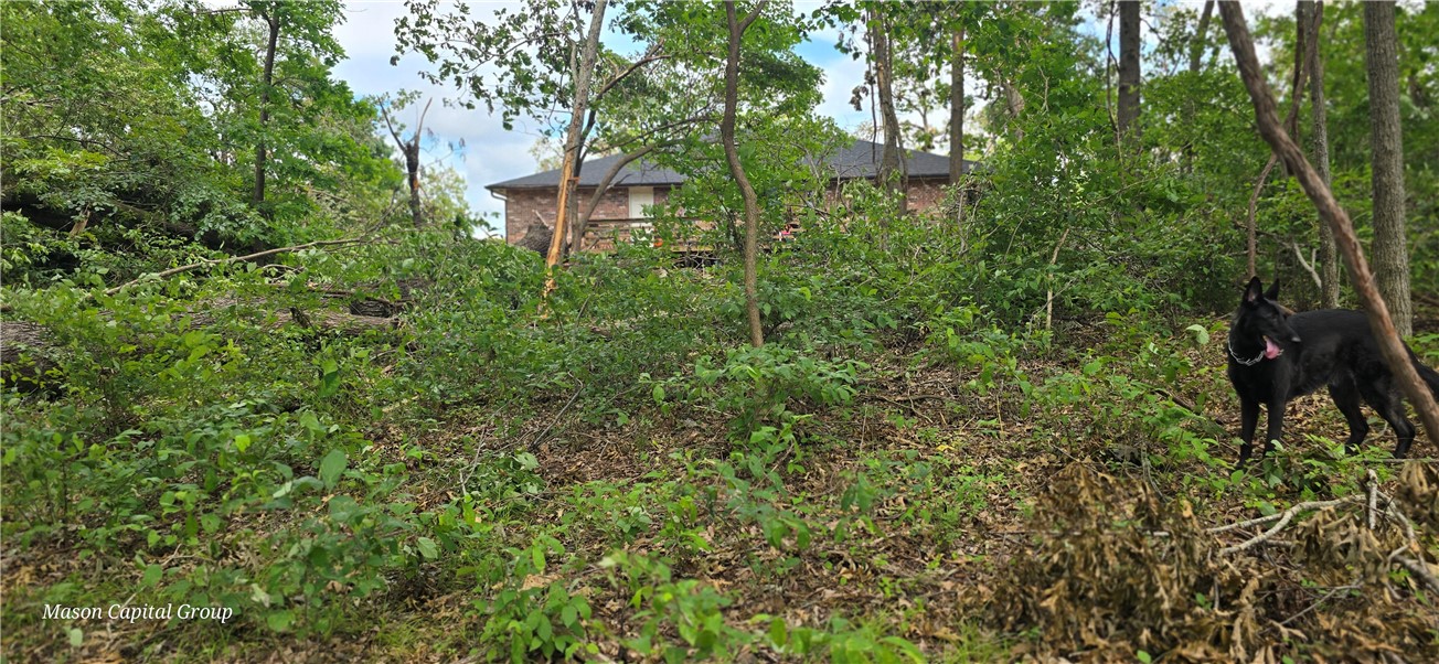 Morrison Heights Bentonville - Commercial Sale