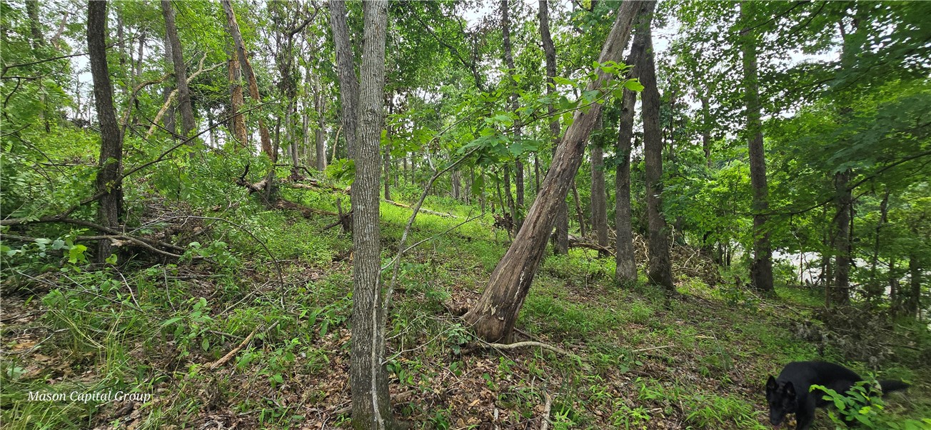 Morrison Heights Bentonville - Commercial Sale