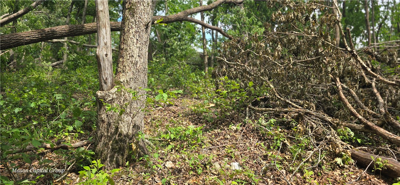 Morrison Heights Bentonville - Commercial Sale