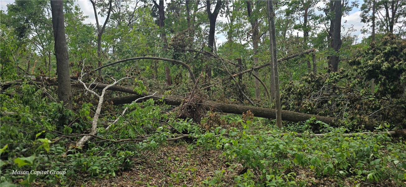 Morrison Heights Bentonville - Commercial Sale