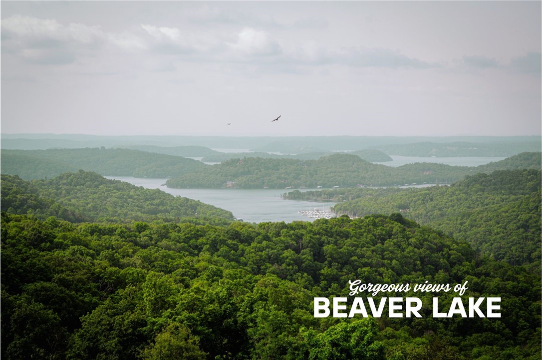 Fly in or drive in—either way, these views won’t disappoint! This 11.73 +/- acre property on Whitney Mountain offers stunning panoramic views of Beaver Lake and overlooks the Beaver Lake Sail Club. A rare opportunity to build your dream home or retreat on a scenic mountainside surrounded by natural beauty and privacy. Septic, electric and water are all available at the street!