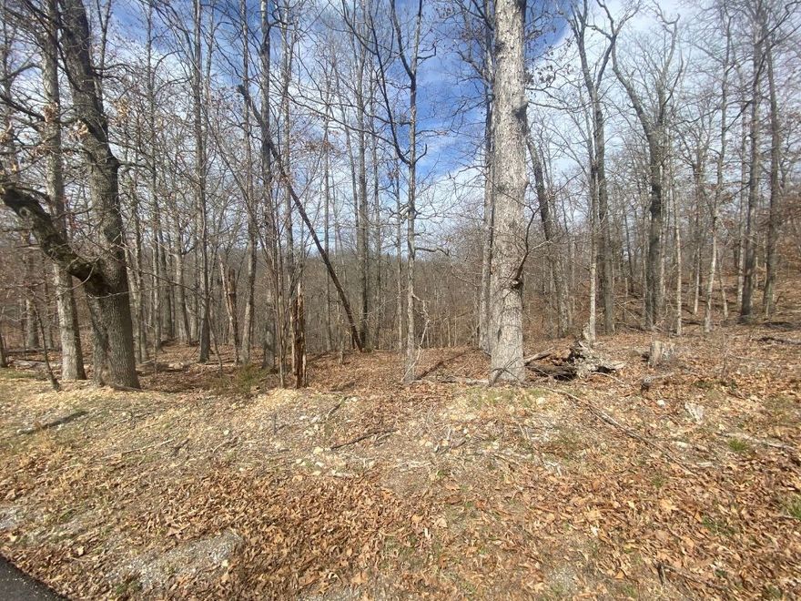 Looking for a chance to own a piece of the beautiful, rapidly growing town of Bella Vista, AR? This lot offers a fantastic opportunity to create your dream home or investment property in Northwest Arkansas. Nestled in a serene, quiet neighborhood, this lot is just minutes away from Bella Vista's many outdoor attractions, including pristine lakes, scenic trails, and golf courses. Enjoy the charm of small-town living while being part of a community that continues to grow and thrive with new amenities, businesses, and infrastructure. Imagine the possibilities with some thoughtful planning and creativity. Whether you're looking to build a cozy retreat or a vacation rental, this lot offers incredible value in an up-and-coming area with strong future growth potential. Don’t miss out on this affordable opportunity to become part of the Bella Vista community. With its beauty and promise of development, this lot won’t last long! Reach out today and start envisioning your future in Bella Vista.