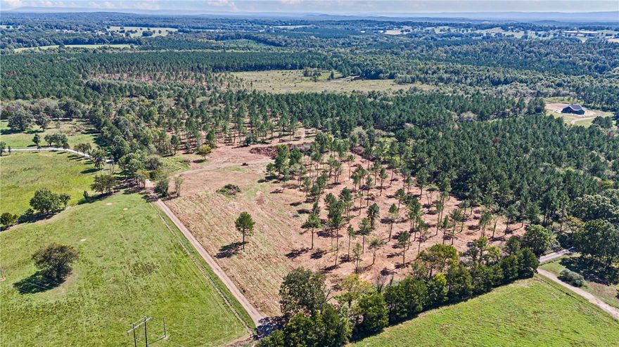 Looking for the perfect escape to enjoy nature or a place to build your dream home? This beautiful property offers the best of both worlds, peaceful country living with room to roam. Whether you're searching for your very own private hunting retreat or the ideal spot to build on, this property checks all the boxes. Don't miss this opportunity to own your slice of the country, book your showing today.
